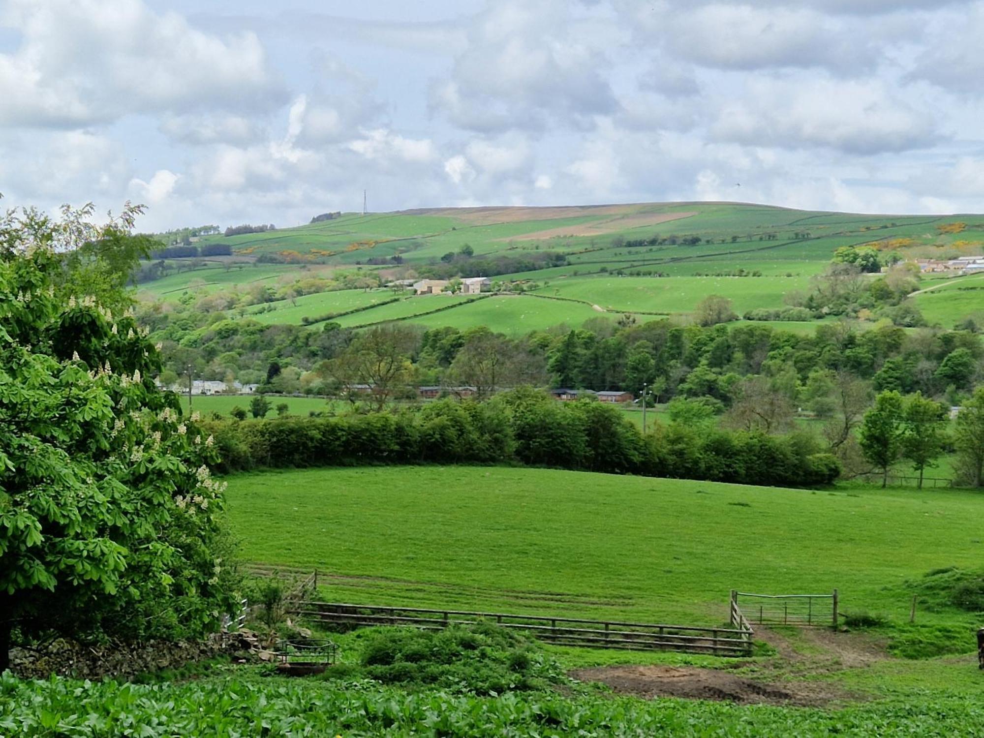 Villa The Den, Coves House Wolsingham Esterno foto