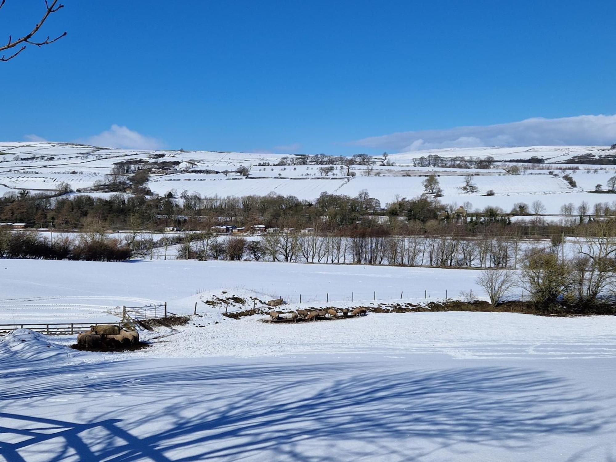 Villa The Den, Coves House Wolsingham Esterno foto